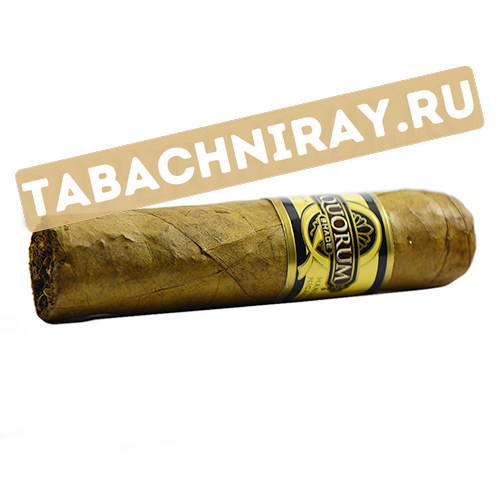 Сигара Quorum - Shade - Short Robusto (1 шт.)