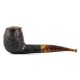 Tortuga savinelli