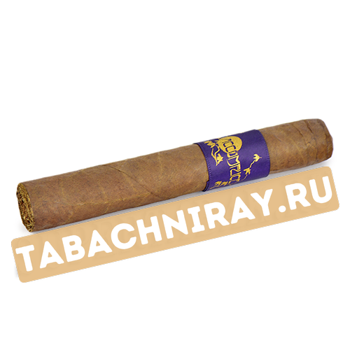 Сигара Principle Cigars Accomplice Corojo Robusto (1 шт.)