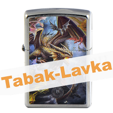 Зажигалка Zippo 49104 - Anne Stokes Collection