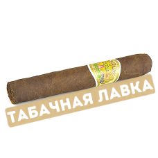 Сигара Alec Bradley - Spirit of Cuba - Habano - Robusto (1шт.)