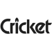 Зажигалки Cricket