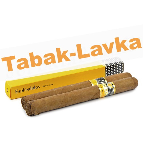 Сигара Cohiba Esplendidos 1 шт - УЦЕНКА