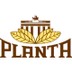 Planta табак трубочный