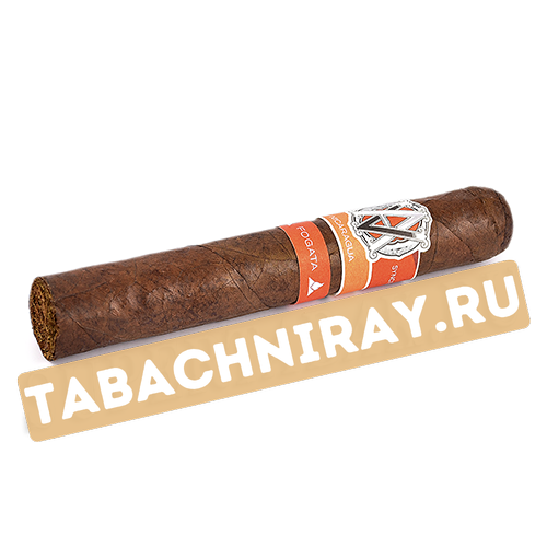 Сигара AVO - Syncro Nicaragua Fogata - Special Toro (1 шт)