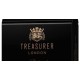 Treasurer импортные