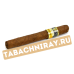 Сигариллы Cohiba Short - Limited Edition 2022 (5шт.)