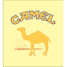 Camel