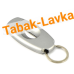 Гильотина для сигар Xikar - 156 SL (VX Key Chain Silver)