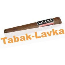 Сигара Rocky Patel - Super Ligero - Robusto (1 шт.)