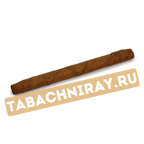 Сигариллы Cohiba Mini - Limited Edition 2023 (10 шт.)