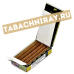 Сигариллы Cohiba Mini - Limited Edition 2023 (10 шт.)