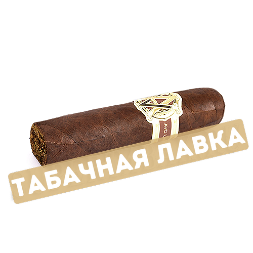 Сигара AVO - Heritage - Short Robusto (1 шт)